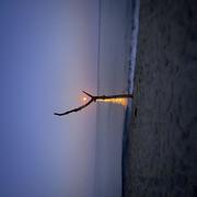 Ghisonaccia 10/08/2025