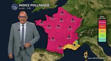 Bulletin allergo-pollinique : canicule et pollens, un cocktail explosif pour les allergiques ce lundi 11 août