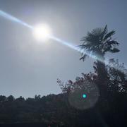 Chanos-Curson 11/08/2025