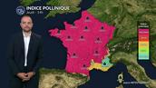 Bulletin quotidien des concentrations polliniques en France pour ce jeudi 14 août