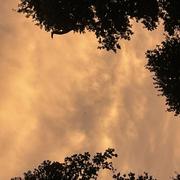 Manéglise 13/08/2025