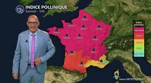 Bulletin quotidien des concentrations polliniques en France pour ce samedi 16 août