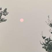 Roz-sur-Couesnon 15/08/2025