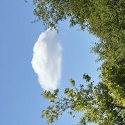 Châtel-Censoir 17/08/2025