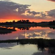 Le Logéo 17/08/2025