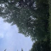 Saint-Étienne-Cantalès 19/08/2025