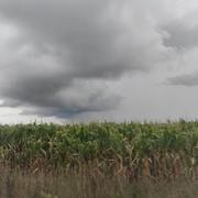 Longepierre 20/08/2025