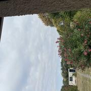 Saint-Sauveur 26/08/2025