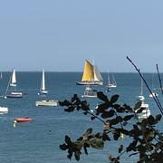 Noirmoutier-en-l'Île 31/08/2025