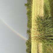 Regnéville-sur-Mer 31/08/2025