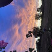 Bollezeele 31/08/2025