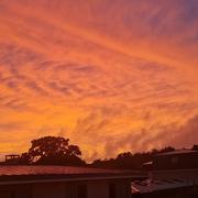 Fontainebleau 01/09/2025