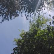 Plobsheim 06/09/2025