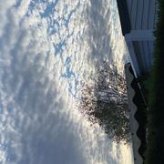 Port Grimaud 12/09/2025