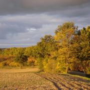 Lougratte 01/11/2010