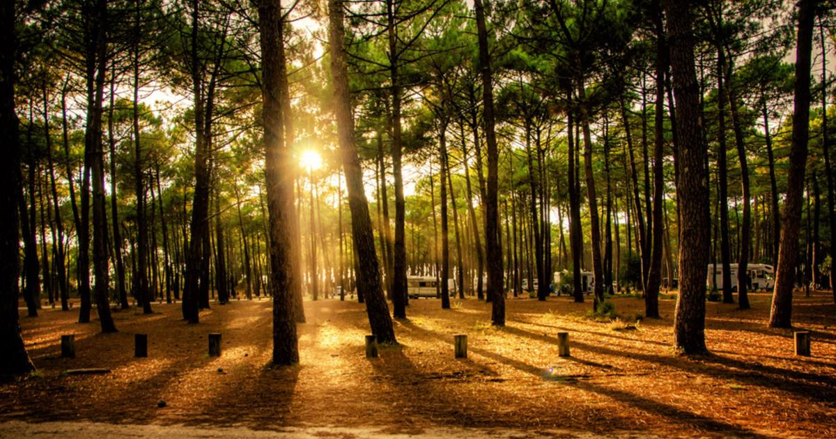 Canicules et coups de chaud : pourquoi le sud-ouest de la France est si ...
