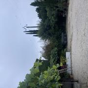 Vérargues 21/09/2025