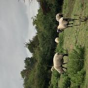 Lesménils 21/09/2025