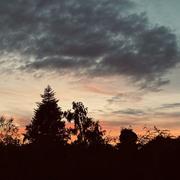 Triel-sur-Seine 28/09/2025