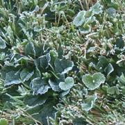 Sondernach 02/10/2025