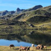 Lacs d'Ayous 06/10/2025