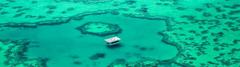 Où admirer la faune marine australienne ?