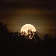 Nogent-le-Rotrou 07/10/2025