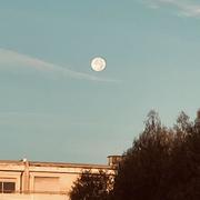 Montpellier 08/10/2025