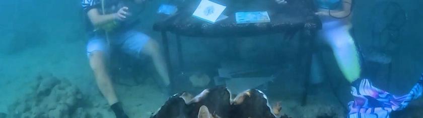 Le président des Palaos interviewé en direct sous l'océan