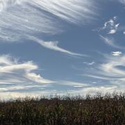 Hagetaubin 09/10/2025