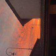 Saint-Brice-sous-Forêt 09/10/2025