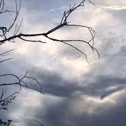 Mours-Saint-Eusèbe 12/10/2025