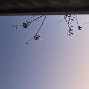 Saint-Brice-sous-Forêt 17/10/2025