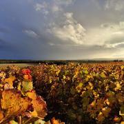 Bar-sur-Aube 20/10/2025