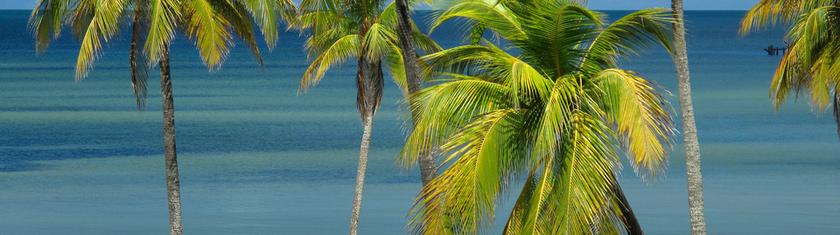 Archipel de Los Canarreos : un chapelet d’îles au cœur du paradis cubain