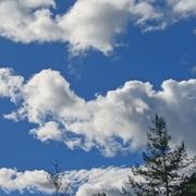 Arthez-de-Béarn 25/10/2025