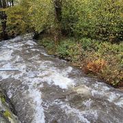 Sondernach 27/10/2025