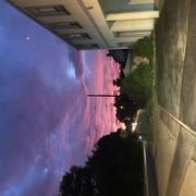 Le Taillan-Médoc 29/10/2025