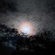 La Croix Rouge 04/11/2025