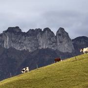 Saint-Jorioz 05/11/2025