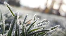 Les gelées se font attendre : moins de 10 % du territoire français concerné, une situation exceptionnelle