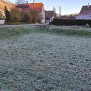 Sondernach 08/11/2025