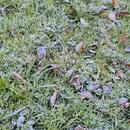 Sondernach 08/11/2025