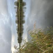 Kinderdijk 08/11/2025