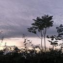 Romans-sur-Isère 10/11/2025