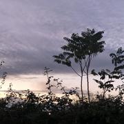 Romans-sur-Isère 10/11/2025