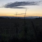 Romans-sur-Isère 10/11/2025