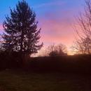 Ouzouer-sur-Loire 12/11/2025