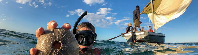 Bazaruto, sanctuaire du marlin : pêche sportive et nature intacte au Mozambique