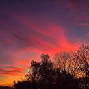 Le Lardin-Saint-Lazare 12/11/2025